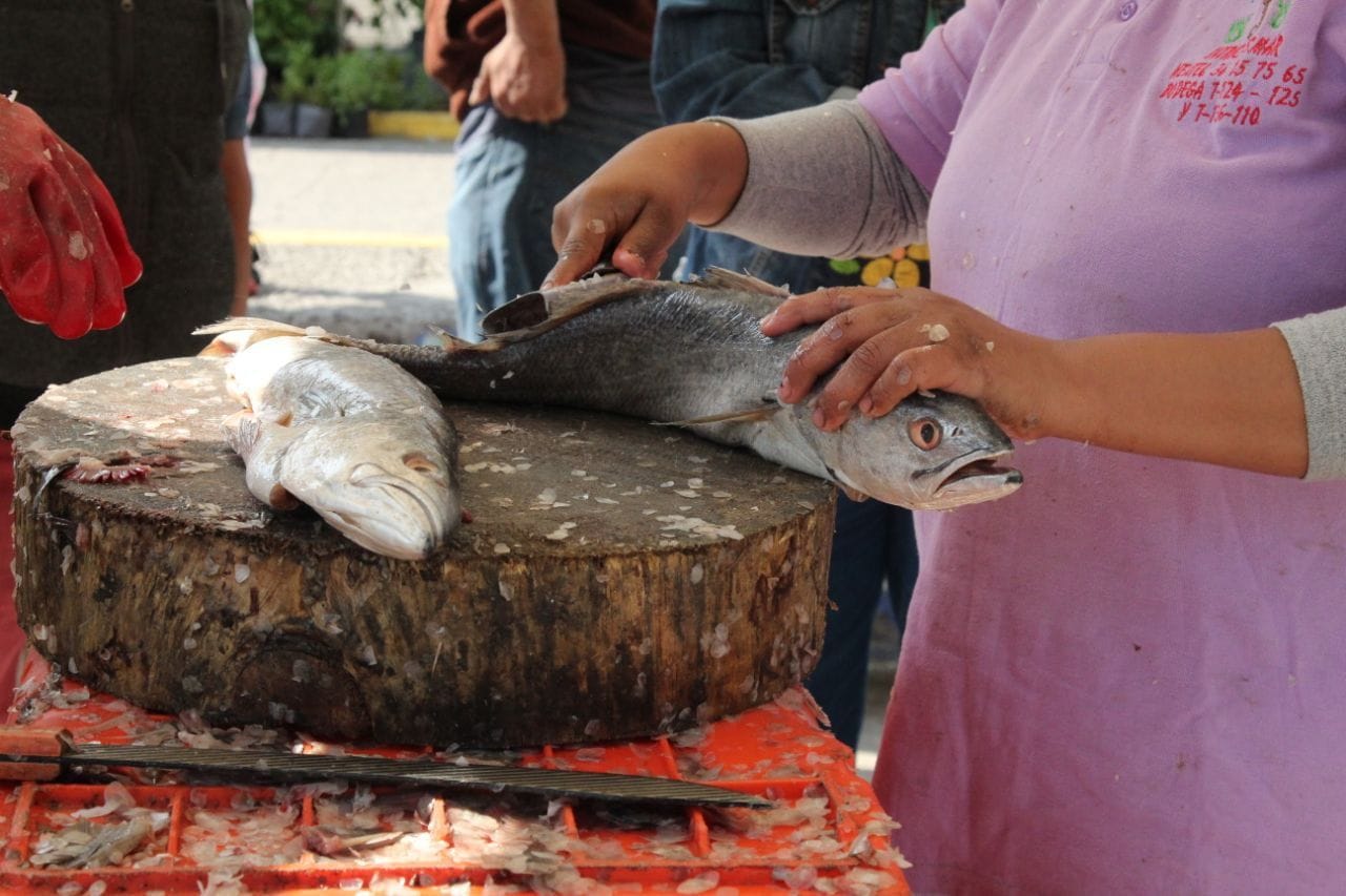 VENTA DE PESCADOS Y MARISCOS EN TLALPAN - La Evidencia News