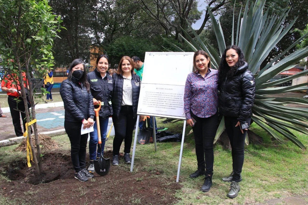 INICIA GOBIERNO DE TLALPAN REMODELACIÓN HISTÓRICA, ALFA