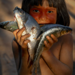 COP 15 BIODIVERSIDAD PARA 2030
