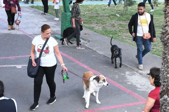 ARRANCA CON ÉXITO EL 2DO TALLER DE REHABILITACIÓN DE PERROS