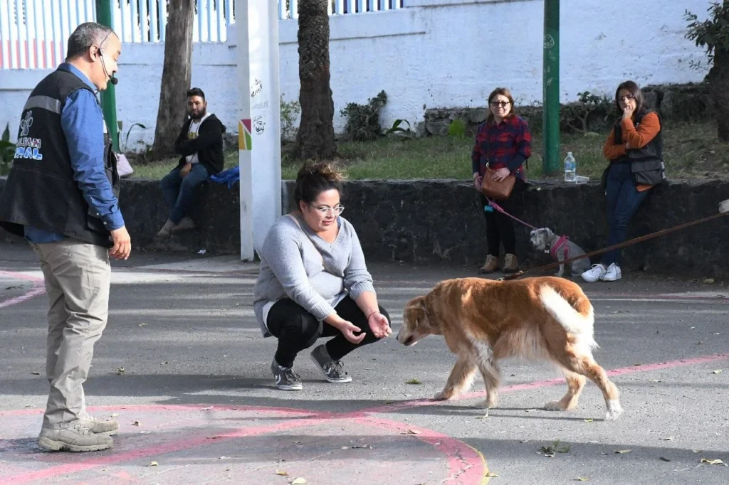 ARRANCA CON ÉXITO EL 2DO TALLER DE REHABILITACIÓN DE PERROS