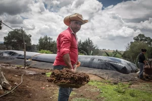 “SISTEMA.BIO, ENERGÍA LIMPIA: IMPACTO GLOBAL”