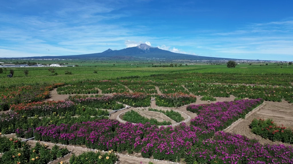 “ARTE EFÍMERO EN HUAMANTLAA”