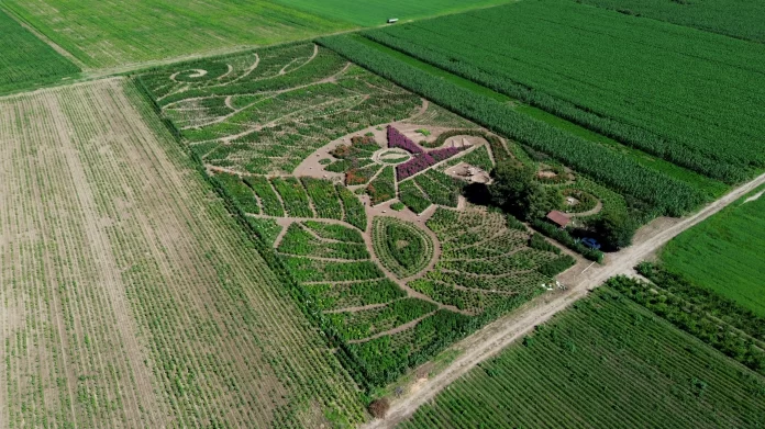 “ARTE EFÍMERO EN HUAMANTLA