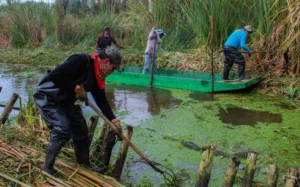 JOSÉ CARLOS ACOSTA Y LA PÉRDIDA DE TIERRAS 