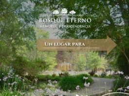 BOSQUE ETERNO