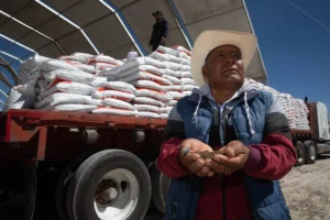 FERTILIZANTES GRATUITOS