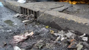 BASURA E INUNDACIONES 