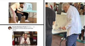 SE LLEVA A CABO LA FARSA ELECTORAL 