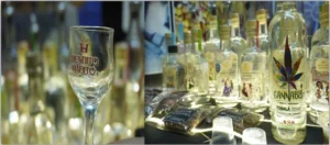 EXPO GASTRONÓMICA 2025: PROVEEDURÍA
