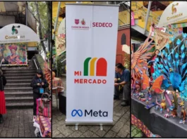 PORTAL ARTESANAL: SANER Y META