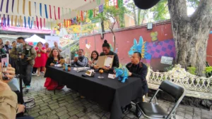 PORTAL ARTESANAL: SANER Y META