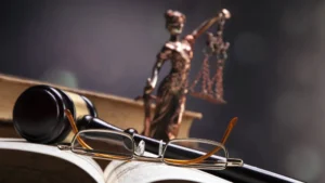 LA ELECCIÓN JUDICIAL 