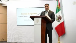 HUACHICOLEO ELÉCTRICO