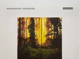 OBRA DE LA BUENA IMPRESIÓN EN EL IAGO