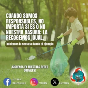 LLUVIAS Y BASURA: EL ROL CLAVE DEL PLÁSTICO 