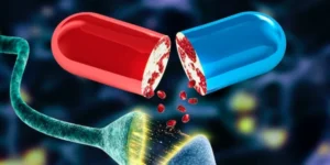 MENOPAUSIA CON CIENCIA: EL PODER DEL OMEGA 5 NANO