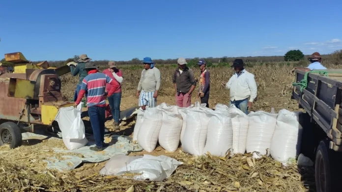 CRISIS AGRÍCOLA EN PUNTO DE EBULLICIÓN | GENTE DETRÁS DINERO
