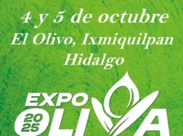 EXPO OLIVA 2025: EL SABOR DEL OLIVO FLORECE EN HIDALGO