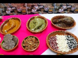 48° FERIA DEL MOLE: BLANCA LILIA FLORES VISITA MOLANCO