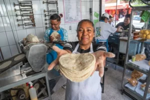 ACUERDO NACIONAL MAÍZ -TORTILLA CON BLANCA LILIA FLORES