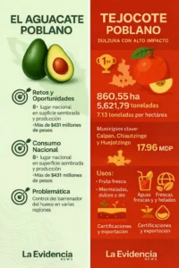 LA NAVE POBLANA EN LA CDMX: AGUACATE Y TEJOCOTE