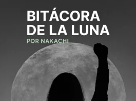 LECCIONES DESDE OSLO | BITÁCORA DE LA LUNA