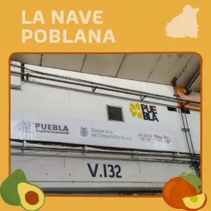 LA NAVE POBLANA EN LA CDMX: AGUACATE Y TEJOCOTE