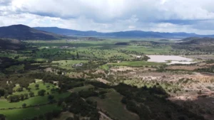 PUNTO FINAL | DESDE CABINA CON MARTÍN ESPINOSA