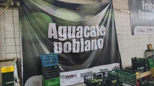 LA NAVE POBLANA EN LA CDMX: AGUACATE Y TEJOCOTE