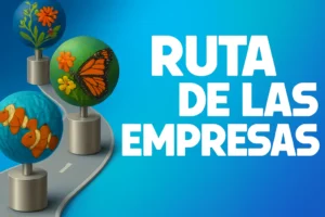 RUTA DE LAS EMPRESAS: IMPACTO EMPRESARIAL EN MÉXICO