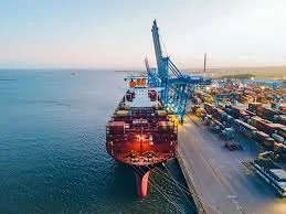 PUERTO MANZANILLO: VETO A COBRO POR ACCESO 