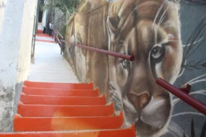 CONTRERAS TRANSFORMA CALLES Y ESPACIOS 