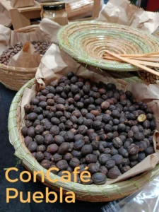 CON CAFÉ PUEBLA IMPULSA EL ORGULLO DEL CAFÉ
